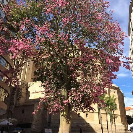 Appartamento Don Juan De 2 La Catedral
